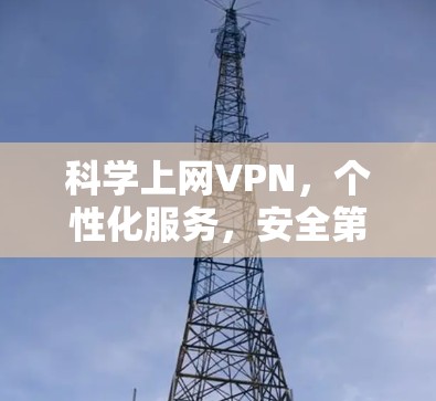 科学上网VPN，个性化服务，安全第一