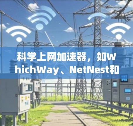 科学上网加速器，如WhichWay、NetNest和NetMask，各有其独特功能和适用场景。以下是根据您的需求和预算进行的推荐