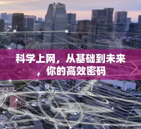 科学上网，从基础到未来，你的高效密码