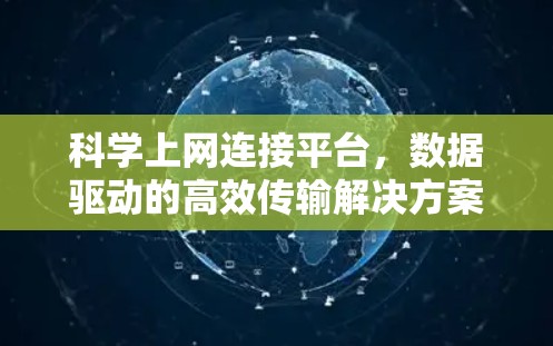 科学上网连接平台，数据驱动的高效传输解决方案