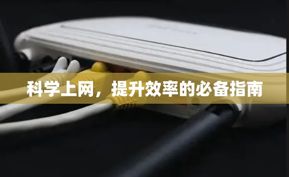 科学上网，提升效率的必备指南