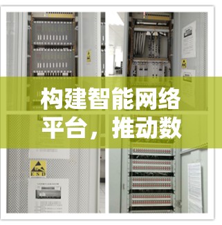 构建智能网络平台，推动数字技术与科学调研深度融合