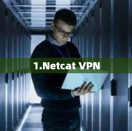 1.Netcat VPN