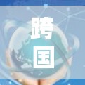 跨国VPN，守护网络新标准