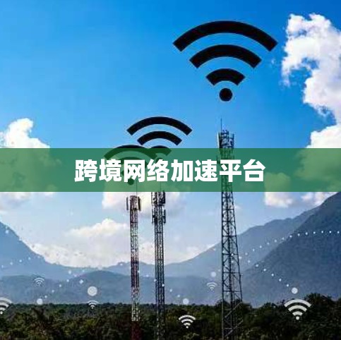 跨境网络加速平台