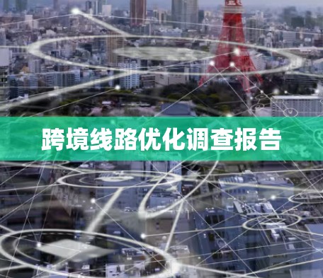 跨境线路优化调查报告 跨境线路优化调查报告